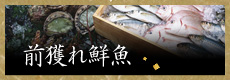 前獲れ鮮魚